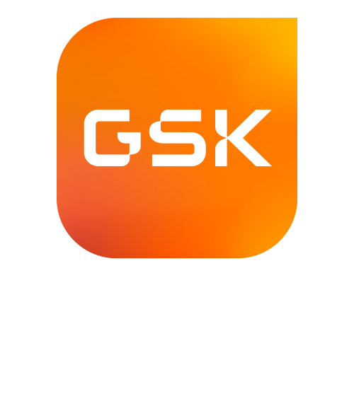 Gsk Bir Bakista Logo